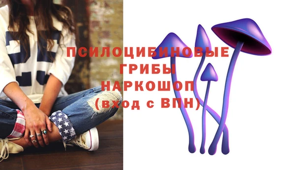 mix Богородицк