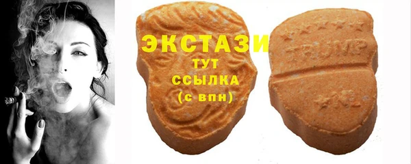 mix Богородицк