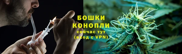 прущие крисы Богданович