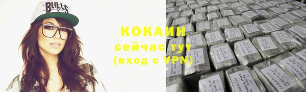 mix Богородицк