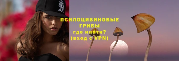 прущие крисы Богданович