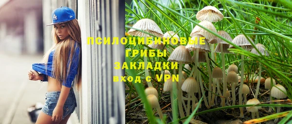 прущие крисы Богданович