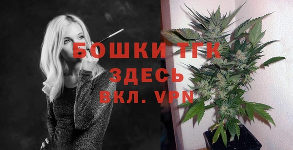apvp Богородск
