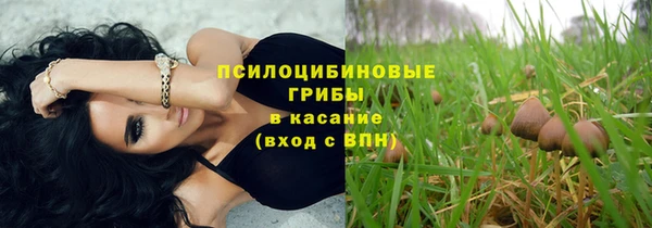 прущие крисы Богданович