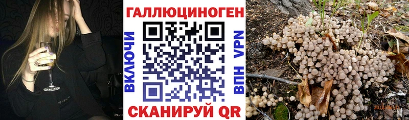 Купить  Рассказово  Галлюциногенные грибы ЛСД 
